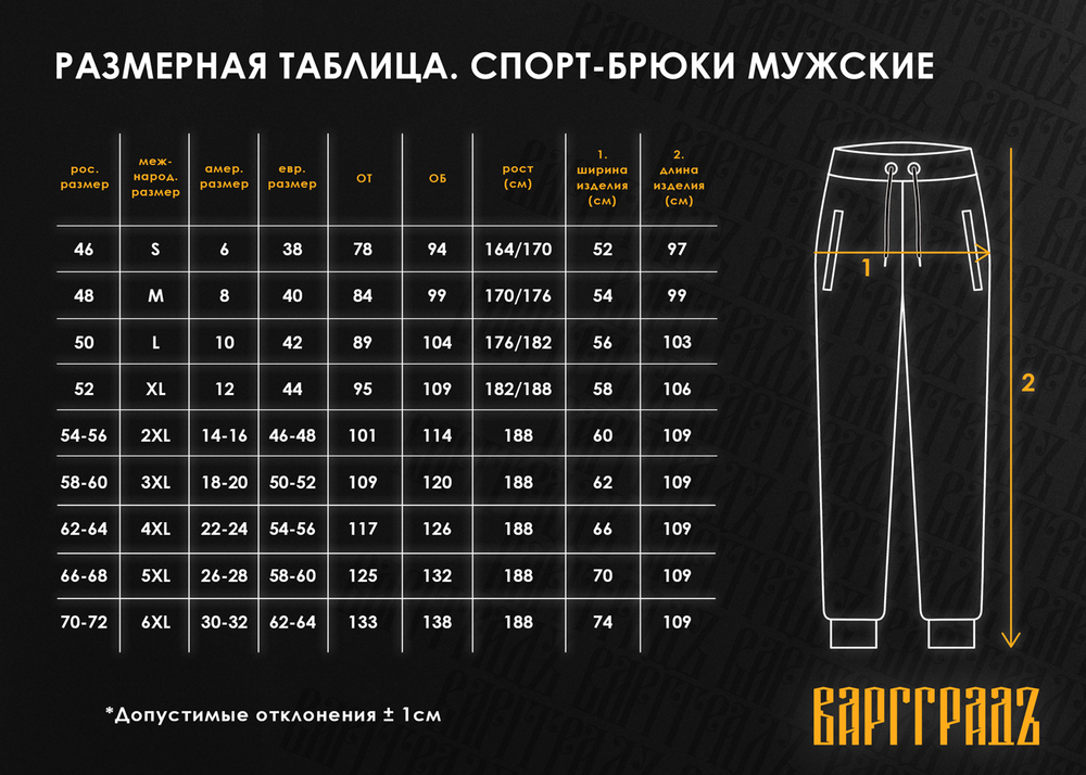 Спорт-брюки Варгградъ мужские чёрные "Сказки тёмной стороны" без начёса карманы на молнии