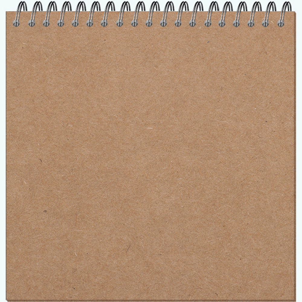 Блокнот-скетчбук ARTBOOK QUADRO BIG CRAFT 60 листов на металлическом гребне