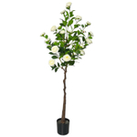 Камелия 160 см.