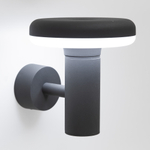 Citilux GARDA CLU01W LED Уличный настенный светильник Графит