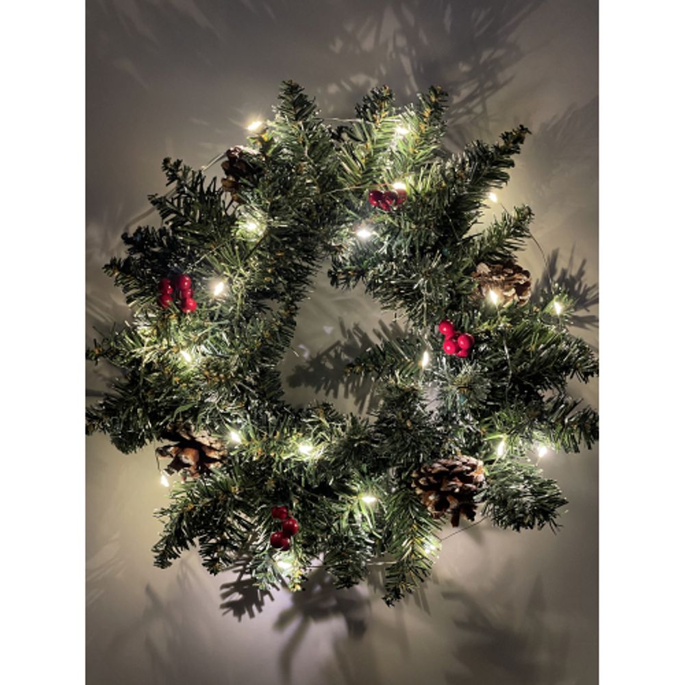 ENIN-2B ЭРА Гирлянда LED Нить 2 м теплый свет, АА, IP20