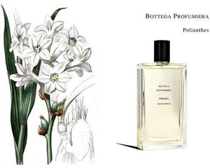 Bottega Profumiera Rose Poudre
