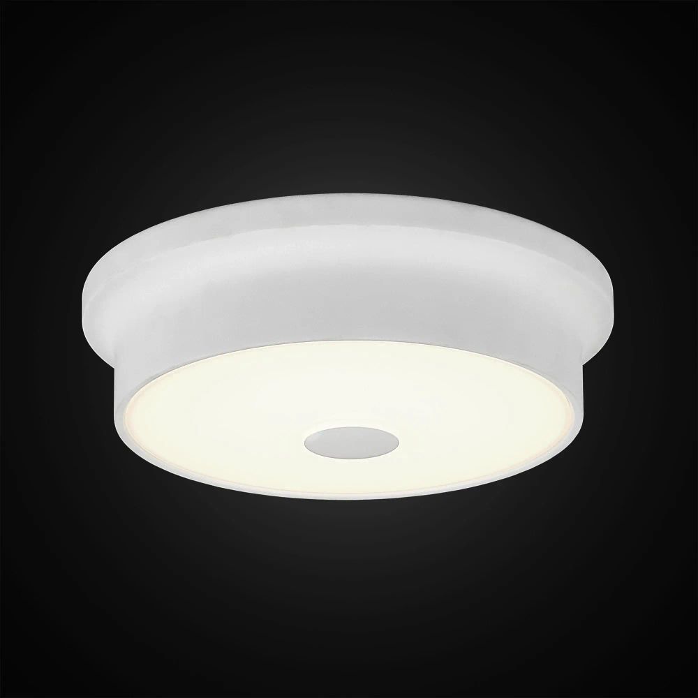 Citilux Фостер-2 CL706210 LED Светильник с диммером Белый