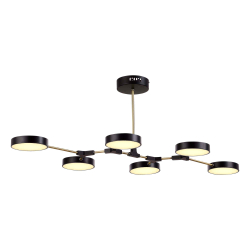 Светильник потолочный Evoluce Monta SLE6004-402-06