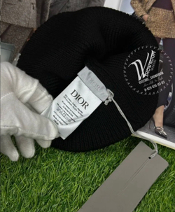 Зимняя шапка Air Dior