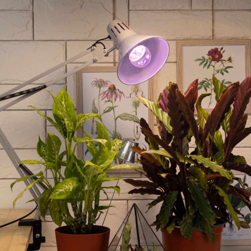 Фитолампа для растений светодиодная ЭРА FITO-11W-Ra90-E 27 полного спектра new 11 Вт Е27