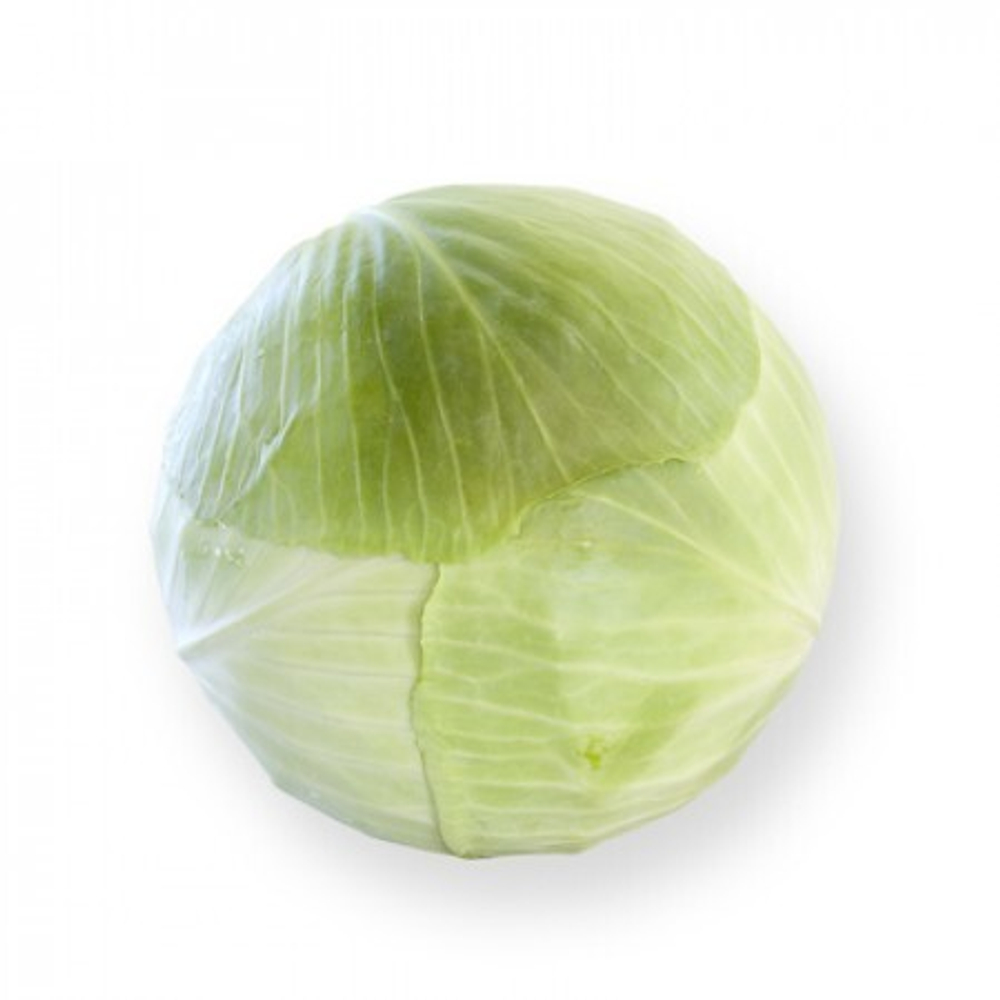 Анкома рз F1 семена капусты белокочанной (Rijk Zwaan / Райк Цваан)