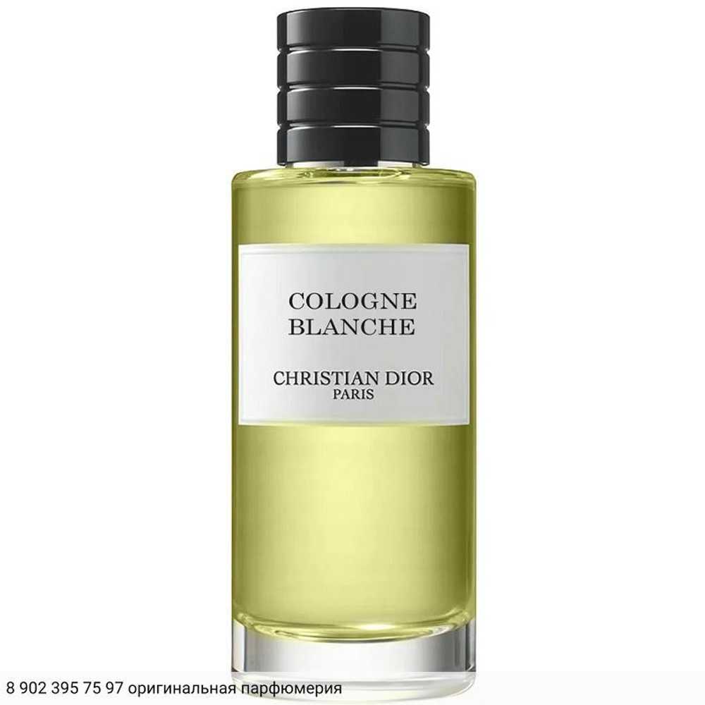 Cologne Blanche