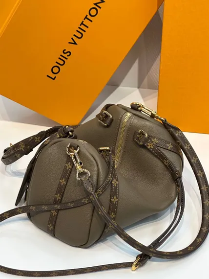 Сумка Louis Vuitton Express