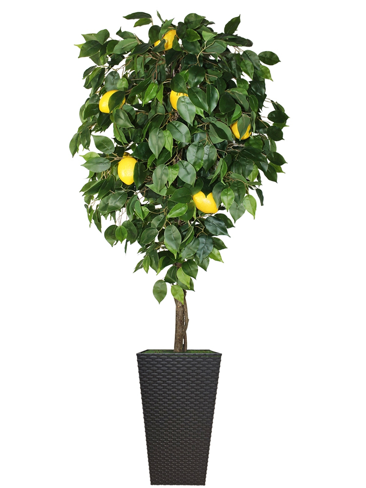 Искусственное дерево Лимон 180см в высоком коричневом кашпо ротанг