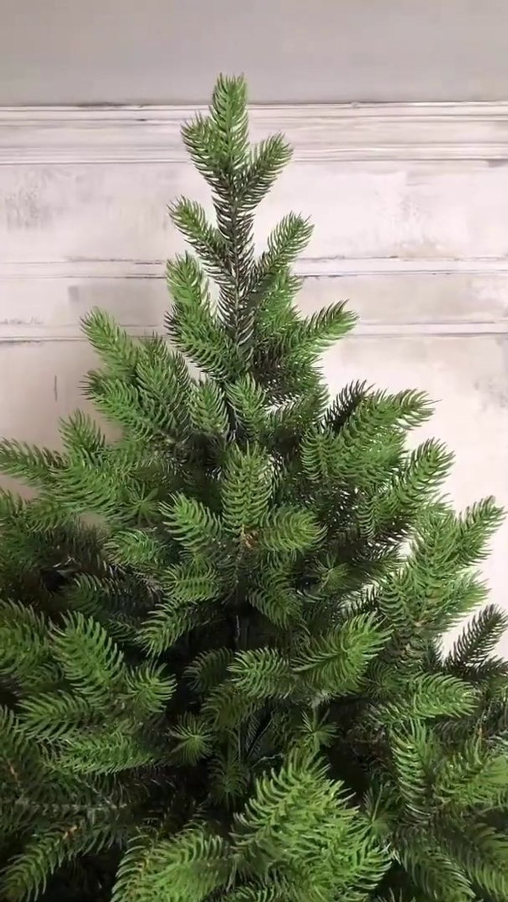 Елка с гирляндой 2в1 «Торжественная» (Литая хвоя) от 1,8 м до 4 м