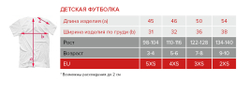 Футболка "Северный ветер" детская