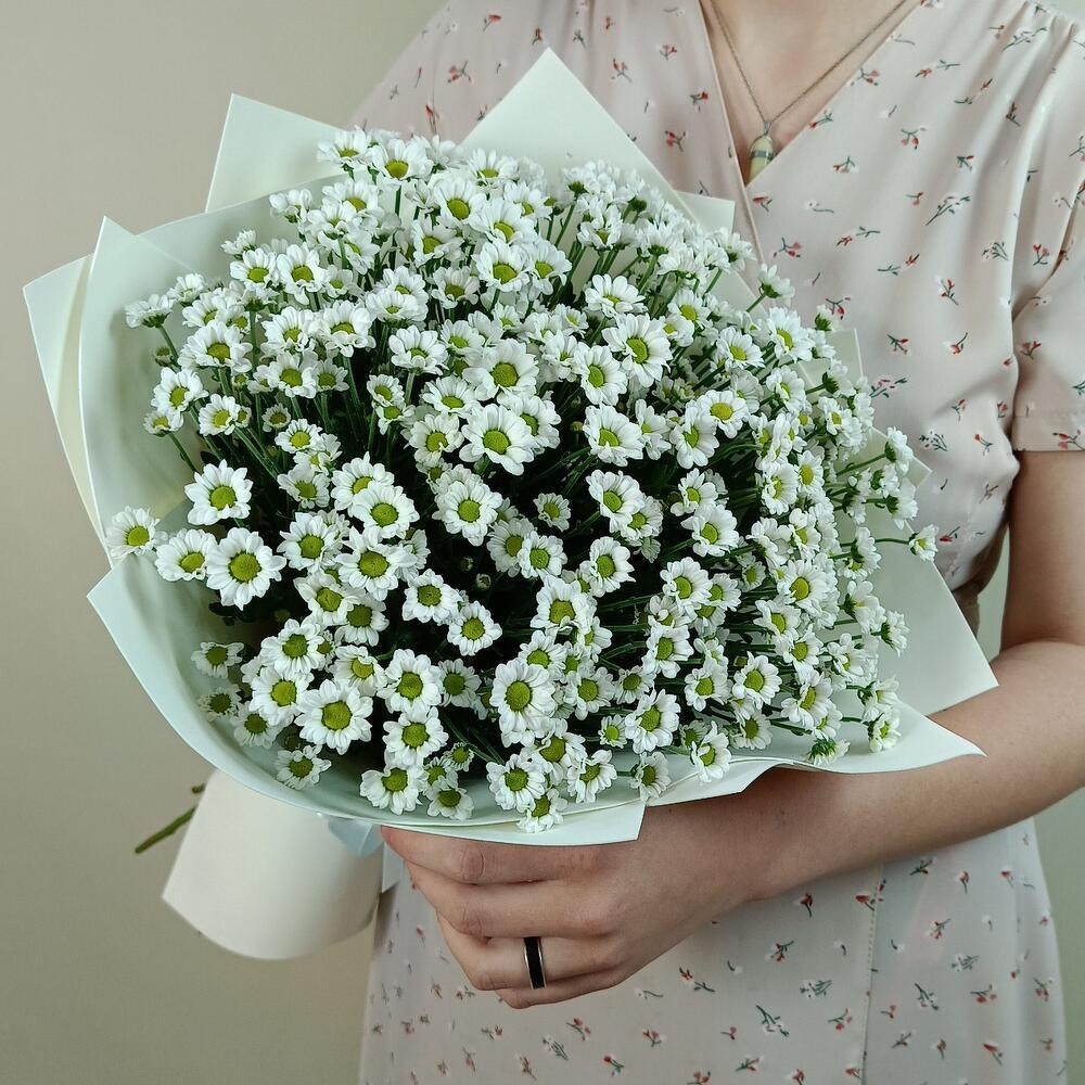 Ромашки-Милашки -M