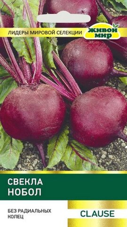 Свекла столовая "ЖМ. Нобол" 2г, Франция.