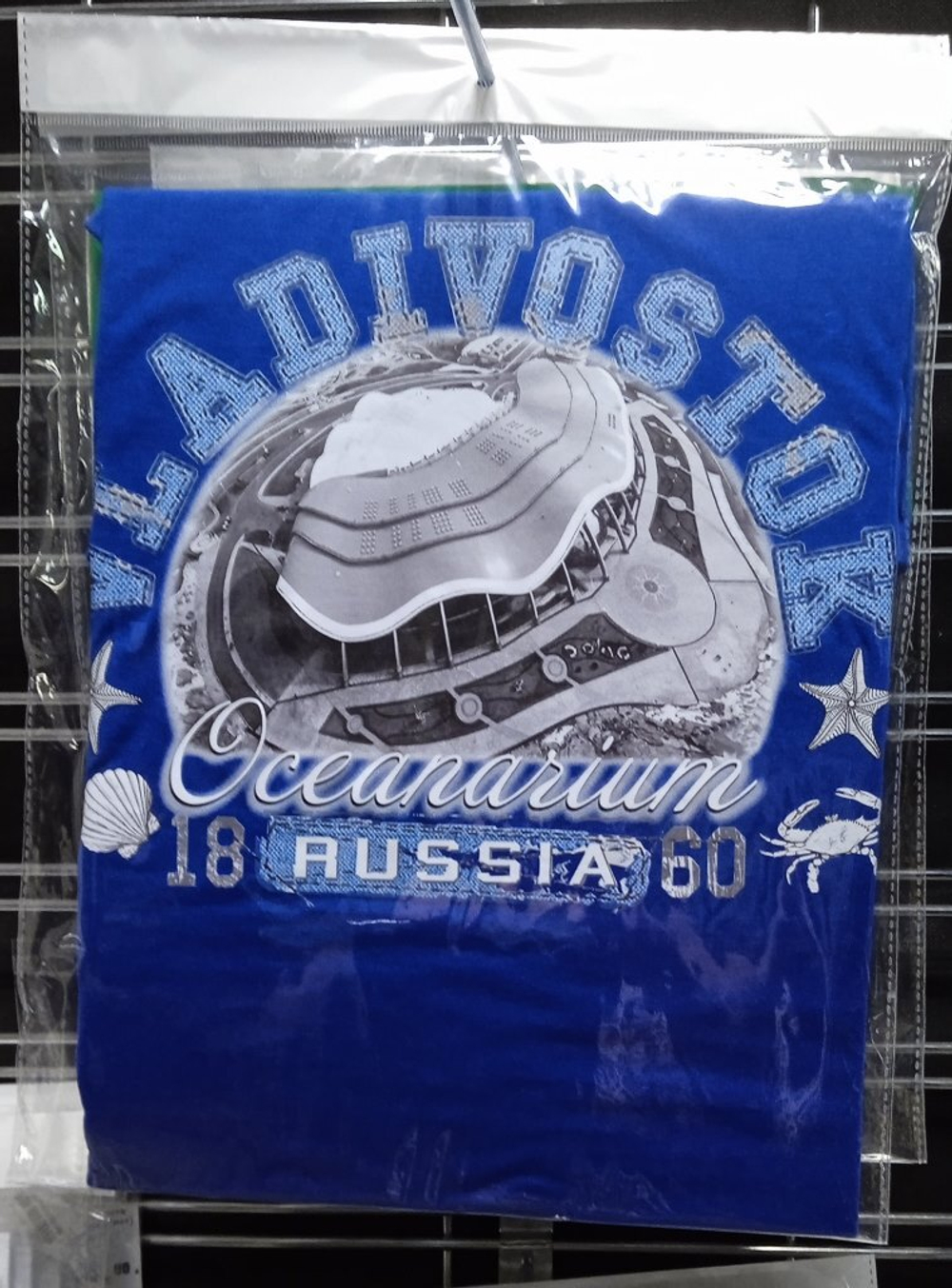 :Владивосток Океанариум :CottonМуж.,василёк M