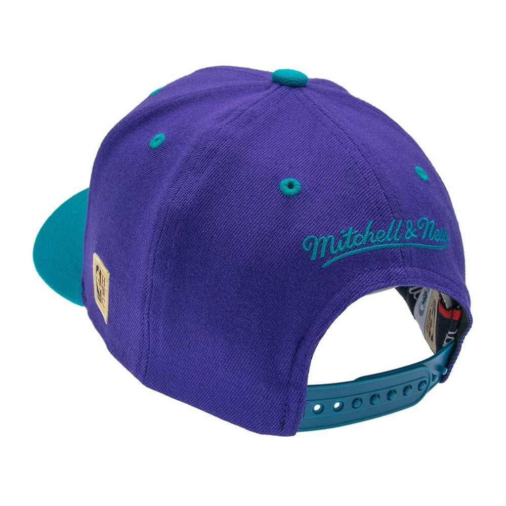 Баскетбольная кепка Mitchell&Ness Charlotte Hornets Team Arch