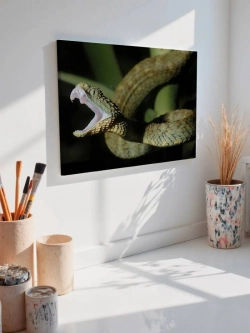 Картина на стену 40 X 50 Змея