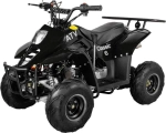 Электроквадроцикл Avantis CLASSIC 6Е (600W)
