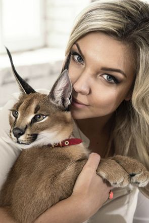 Для кошек