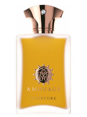 Amouage Overture Man