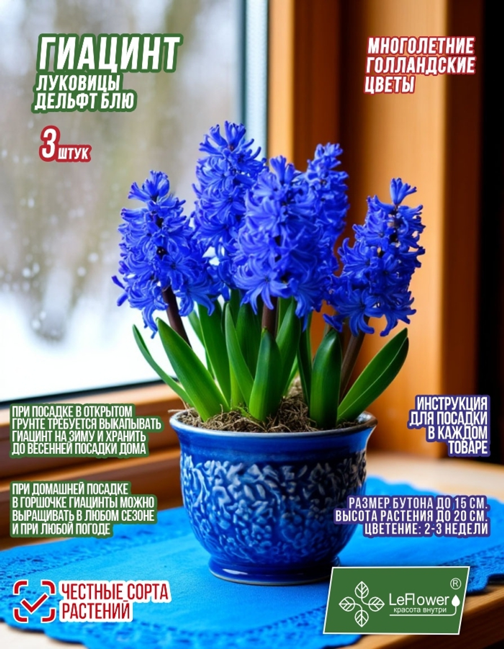 Гиацинт Луковицы цветы, Дельфт Блю, 3шт
