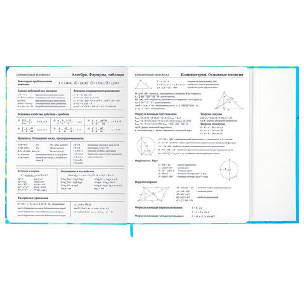 Дневник 1-11 класс 48 л., твердый, BRAUBERG, матовая ламинация, магнитный клапан, закладка-ляссе, с подсказом, "Котик", 107244