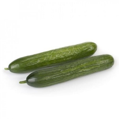 Могура F1 семена огурца партенокарпического (Rijk Zwaan / Райк Цваан)