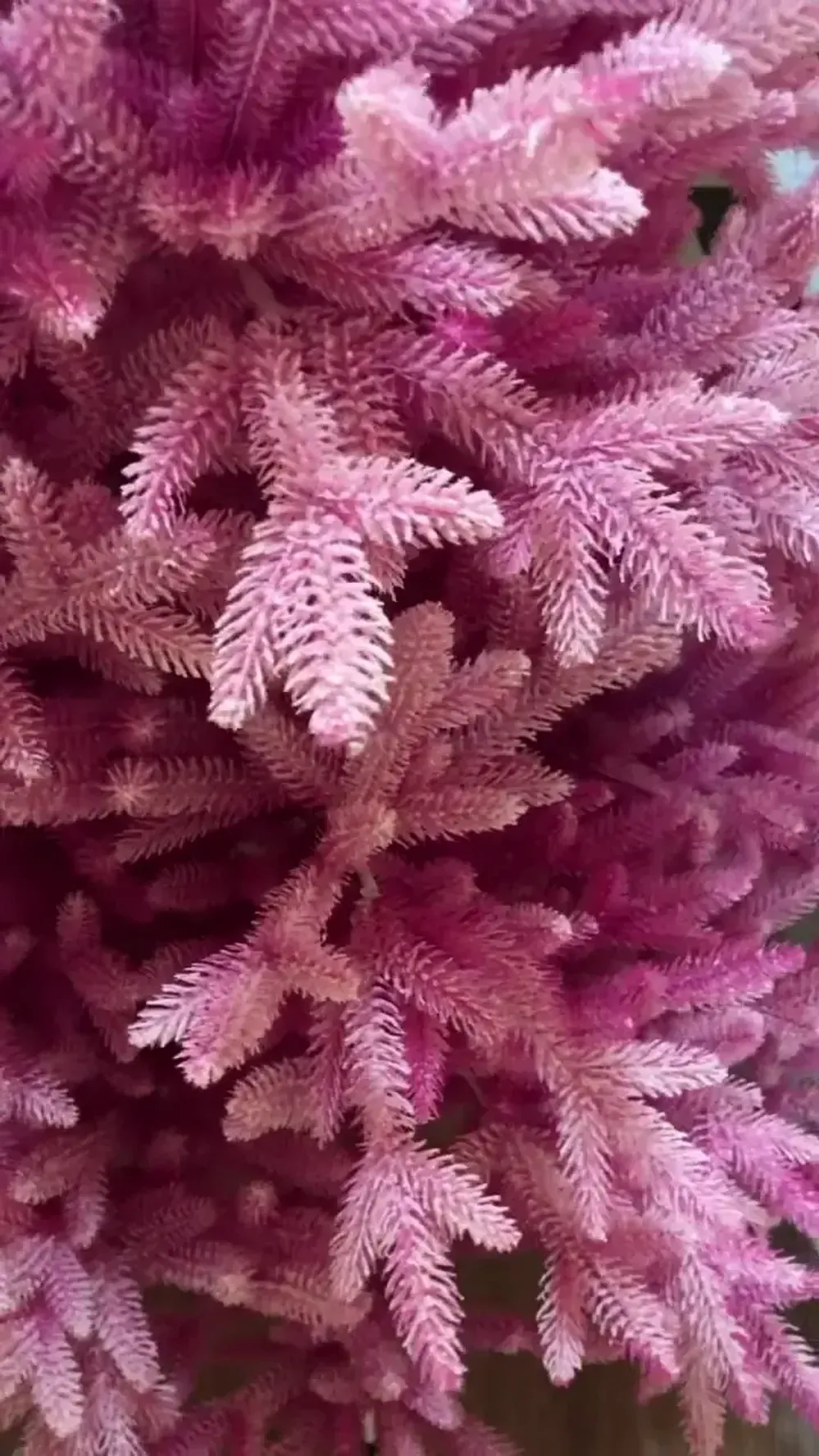 Заснеженная розовая елка «Фэнтези» (Литая хвоя) 215см / 2,1 м