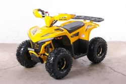 Электроквадроцикл Green Camel Гоби K90 (48V 750W R7 Дифференциал) Tao LUX