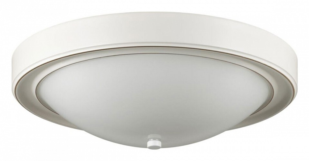 Накладной светильник Lumion 5279/3C
