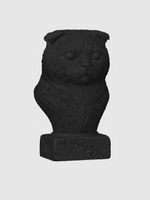 Шотландская Вислоухая Кошка