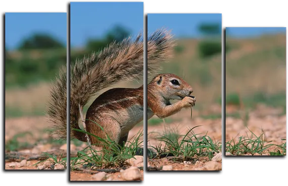 Модульная картина "Смелый бурундук"