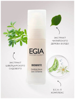 EGIA Сыворотка осветляющая Clarifying Serum 30 мл