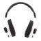Final Audio D8000 Silver