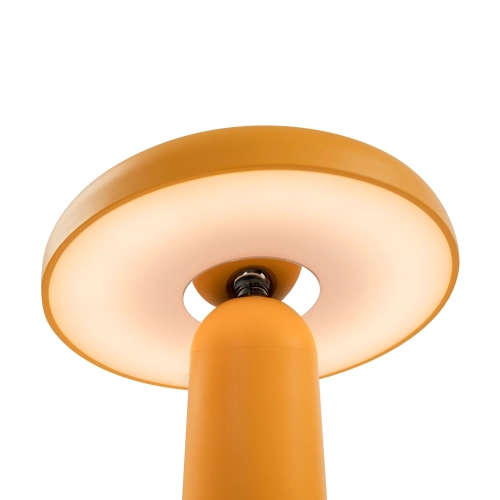 Аккумуляторный светильник Freya Mushroom FR6109TL-L4OR
