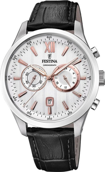 Мужские наручные часы Festina F16996/1