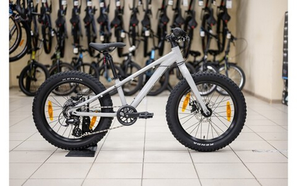 Детский велосипед Giant STP 20 (2022)