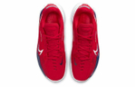 Кроссовки Nike Air Zoom G.T. Cut 1 "Team Usa"