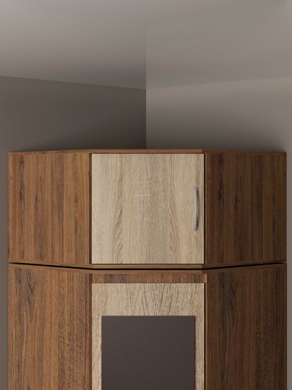 дуб аризона / дуб сонома