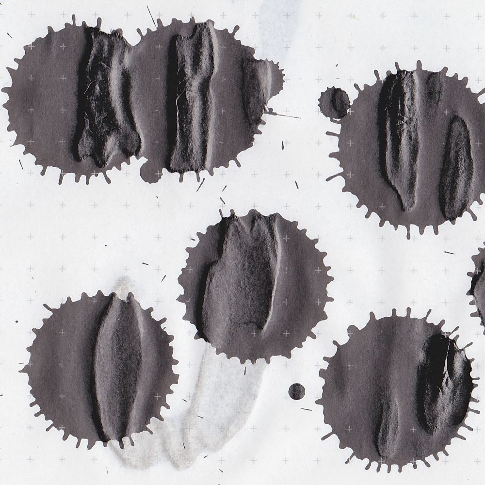 Чернила пигментные черные SAILOR PIGMENT INK Kiwa-guro 50 мл (13-2002-220) 5