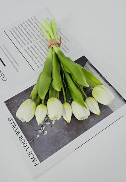 Тюльпаны 30 см 7 цветов / #05 (белый с зеленым)