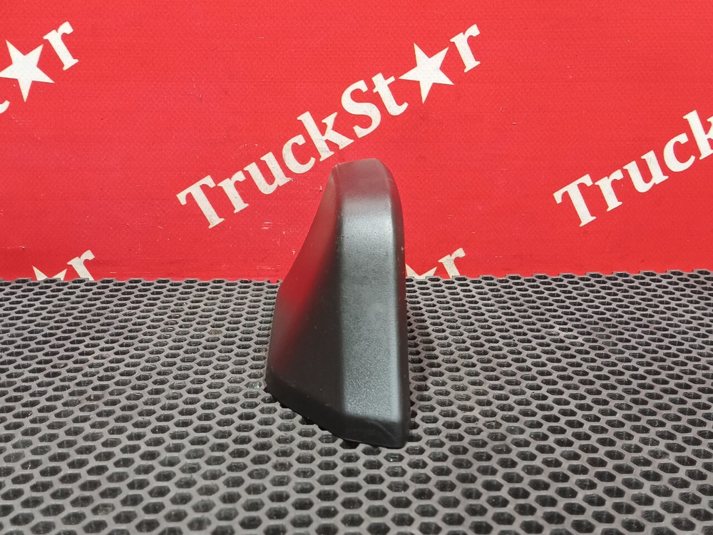 Накладка зеркала левого 2019г.