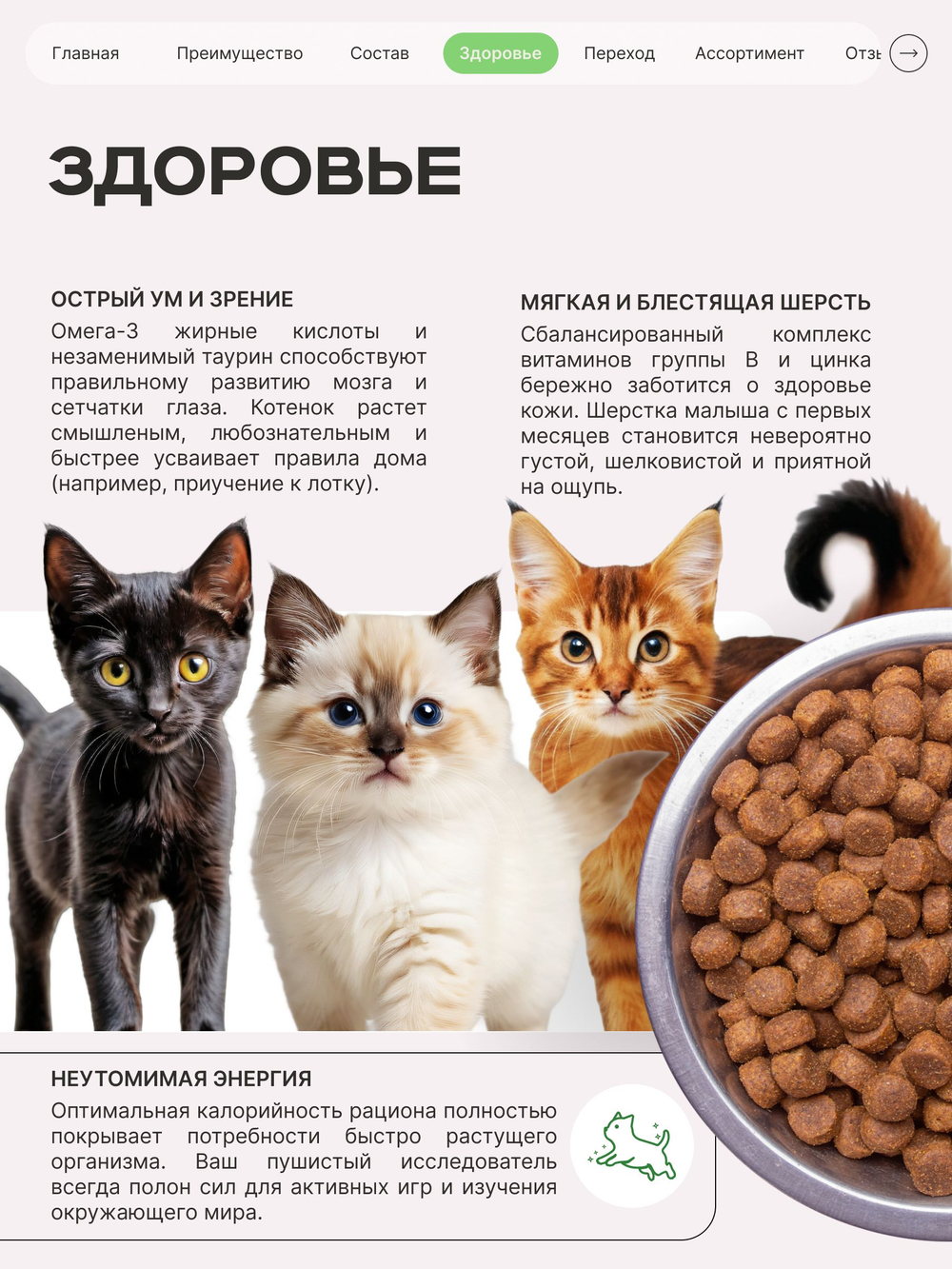 Корм сухой для котят породы Мейн-кун, с ягненком, 2 кг, QUATTRO