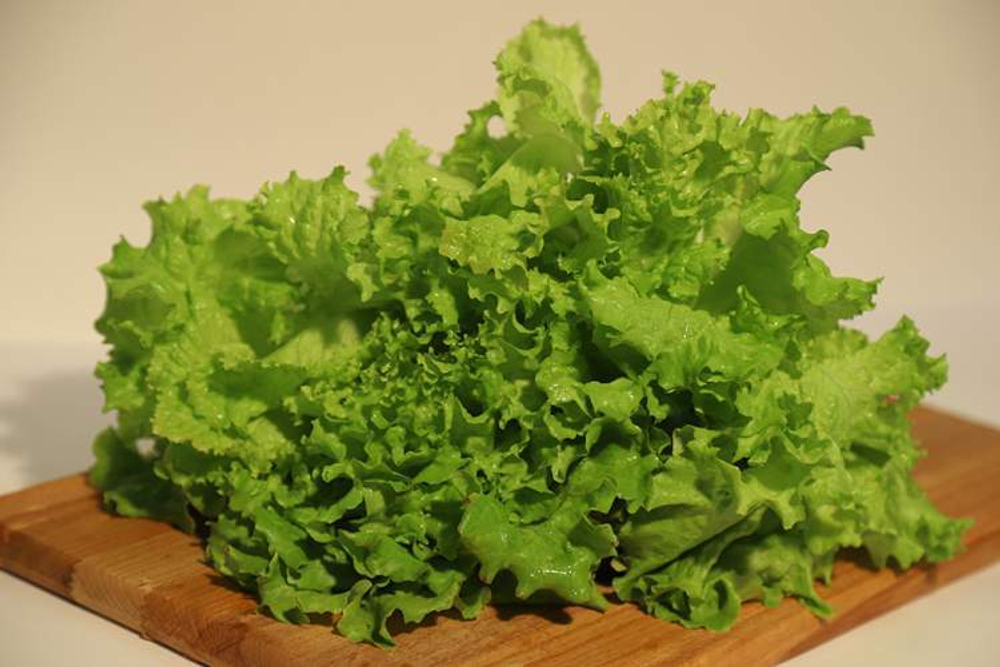 Салат Афицион 0,1г Мировые Семена VITA GREEN