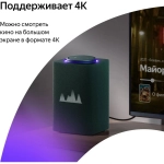 Умная колонка Яндекс Станция Макс с Алисой, с Zigbee (YNDX-00053Z) зеленый