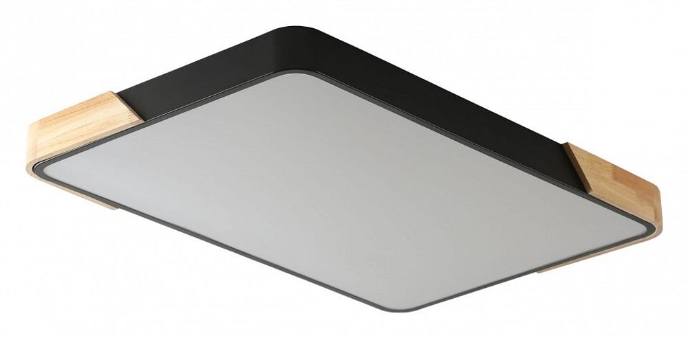 Накладной светильник Zortes Alberro ZRS.01244.60