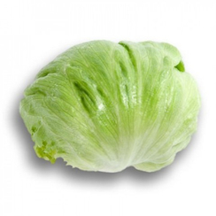 Умбринас семена салата айсберг (Rijk Zwaan / Райк Цваан)