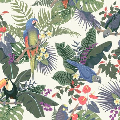 Tropical parrots