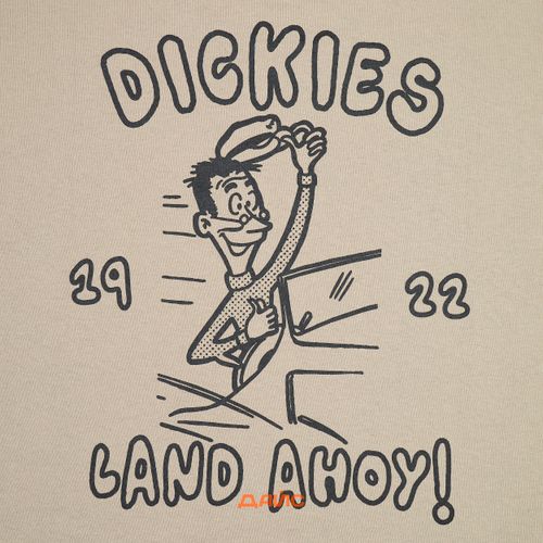 Футболка Dickies Decartuville артикул:DK0A87QT0DS1 - купить в магазине Дайс