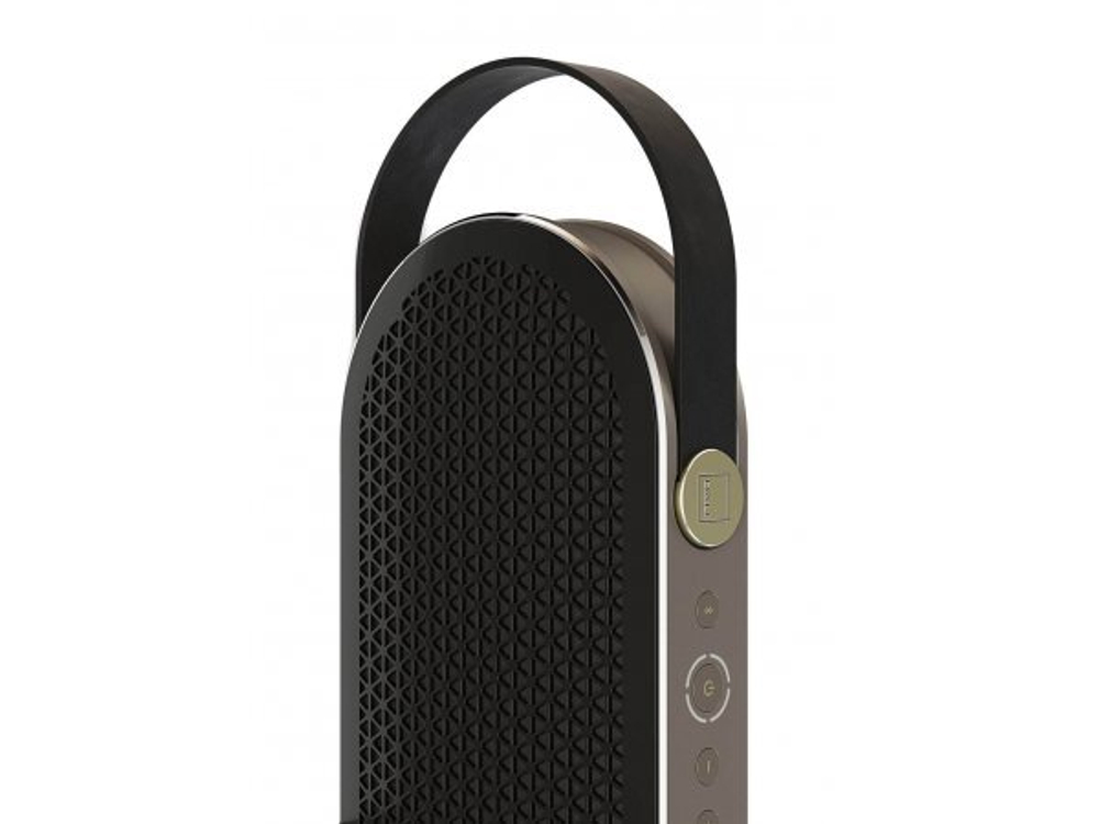 Портативная акустика Dali Katch G2 Iron Black